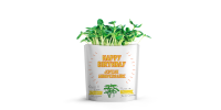 HAPPY BIRTHDAY  - Gift a Green Card